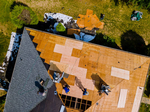 Best Best Roofing Contractors  in Ivanhoe, TX