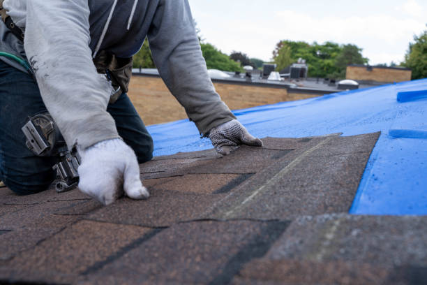 Best Metal Roofing Contractor  in Ivanhoe, TX