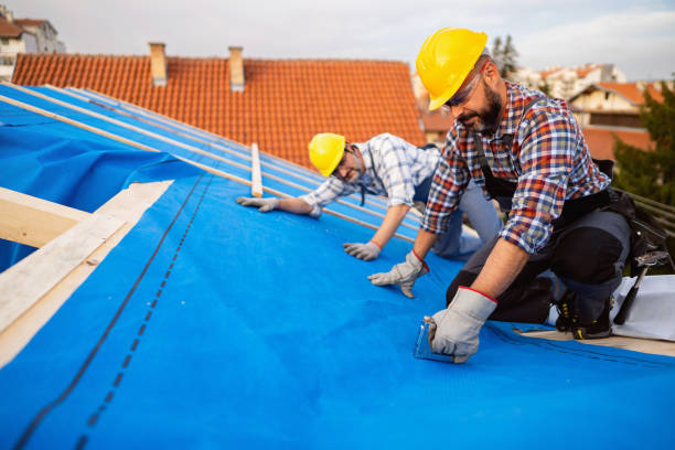 Best Roof Maintenance Services  in Ivanhoe, TX